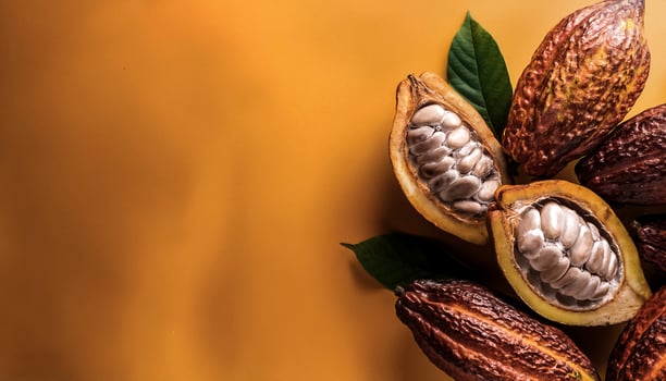 Overhead view of Fresh, Pile, Ripe and juicy sweet cocoa fruits. Halves food summer background photo