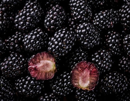 Overhead view of Fresh, Pile, Ripe and juicy sweet Blackberry fruits. Halves food summer background photo