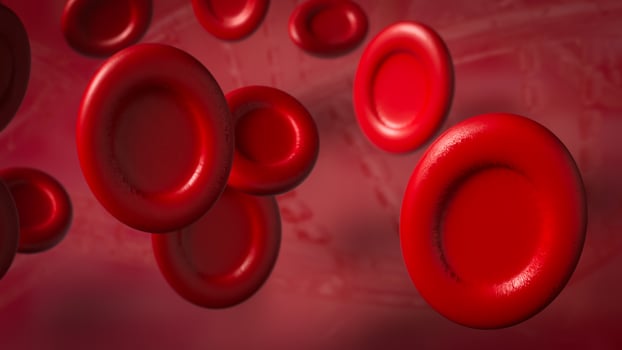 The Blood cell for medical and sci concept 3d rendering. photo