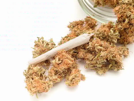 Dry cannabis buds flower outside of a jar isolated on a white background. photo