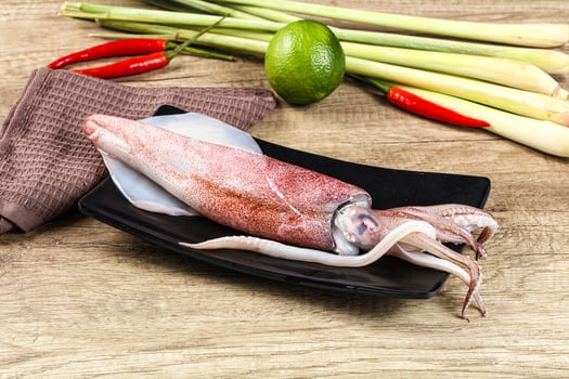 Raw fresh squid for cooking photo