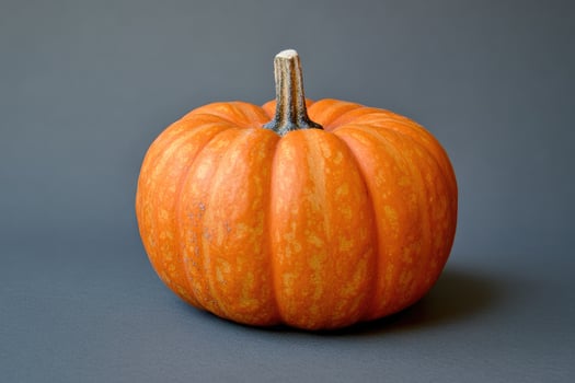 Single Orange Pumpkin with a Brown Stem on a Gray Surface photo