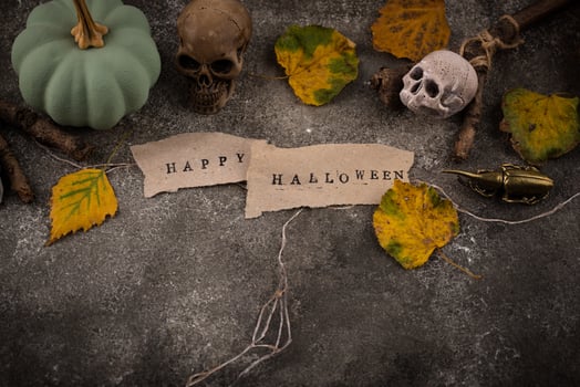 Halloween composition with skull and pumpkins photo
