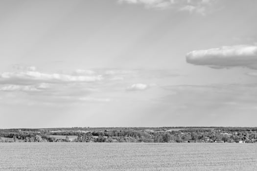 Beautiful horizon scenery in village meadow on color natural background photo
