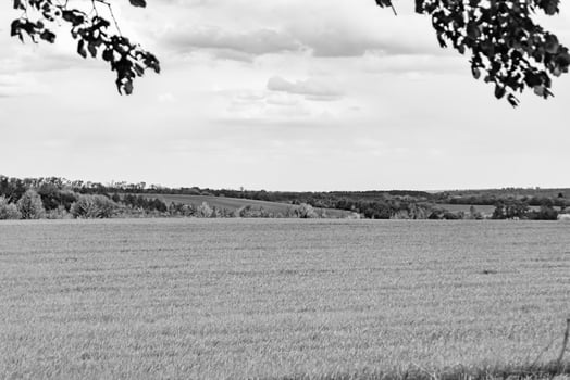 Beautiful horizon scenery in village meadow on color natural background photo