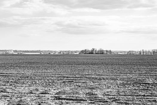 Photography on theme big empty farm field for organic harvest photo