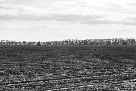 Photography on theme big empty farm field for organic harvest photo