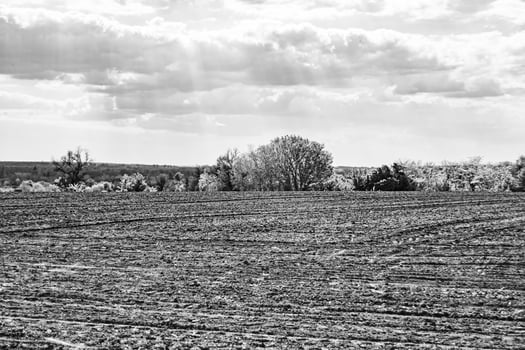 Photography on theme big empty farm field for organic harvest photo