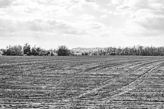 Photography on theme big empty farm field for organic harvest photo