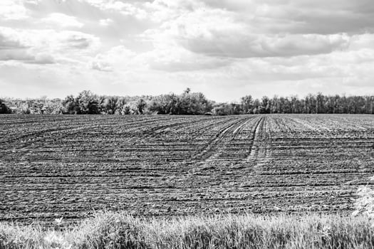 Photography on theme big empty farm field for organic harvest photo