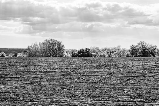 Photography on theme big empty farm field for organic harvest photo