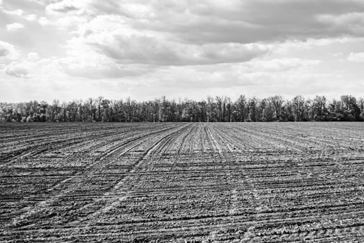 Photography on theme big empty farm field for organic harvest photo
