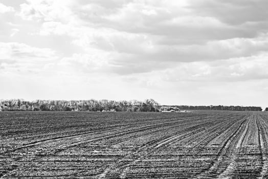 Photography on theme big empty farm field for organic harvest photo