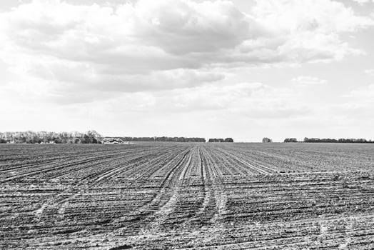Photography on theme big empty farm field for organic harvest photo