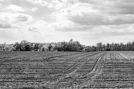 Photography on theme big empty farm field for organic harvest photo