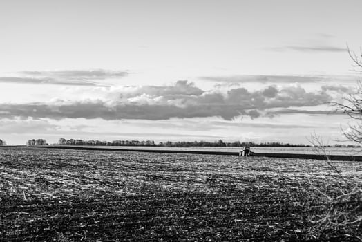 Photography on theme big empty farm field for organic harvest photo