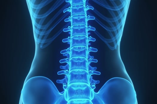 glowing x-ray back spine and neck bones, photo