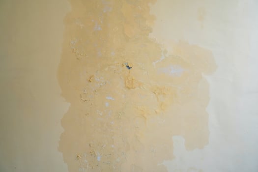 Water seeps into the walls of leaking pipes, causing water stains and peeling paint photo