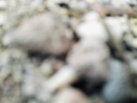 Abstract View of Rocks in Gentle Hues, out of focus pebbles photo