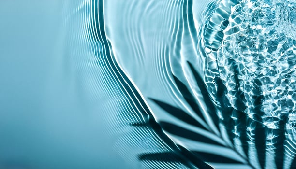 Transparent water wave with palm leaf shadow from above photo