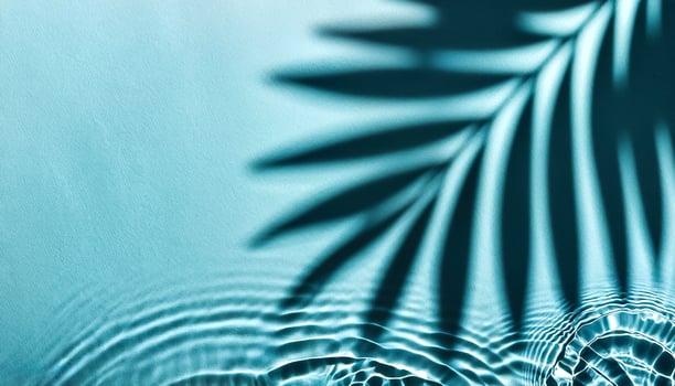 Transparent water wave with palm leaf shadow from above photo