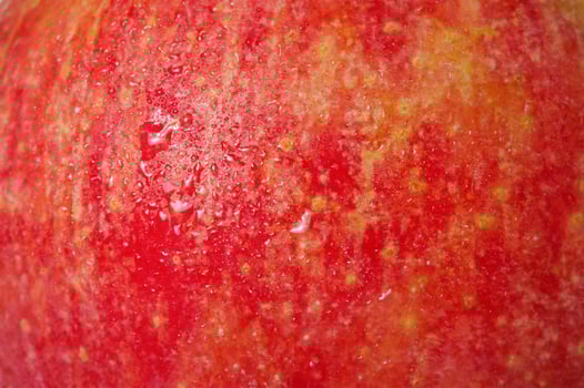 The texture of a red and yellow apple with water drops. photo