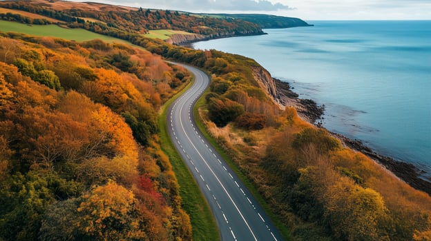 Scenic coastal road winding through autumn foliage along a stunning coastline in the countryside photo