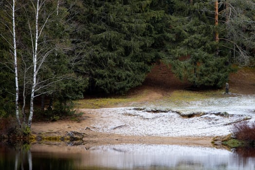 The First Snowfall of Autumn forest near lake snow photo