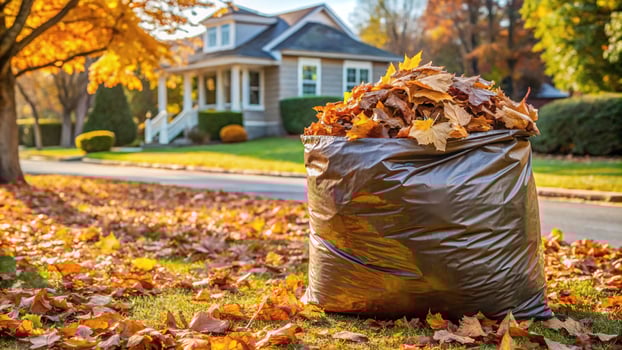 Panoramic garbage bag filled with autumn leaves on front yard photo