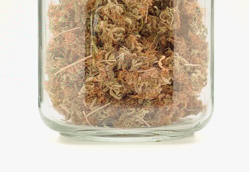Dry cannabis buds flower in a jar glass over a white background photo