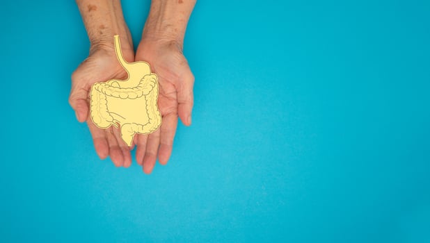 A large intestine shape made from paper on a palm senior woman on a blue background photo