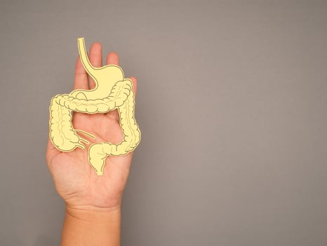 Large intestine shape made from yellow paper on a palm people photo