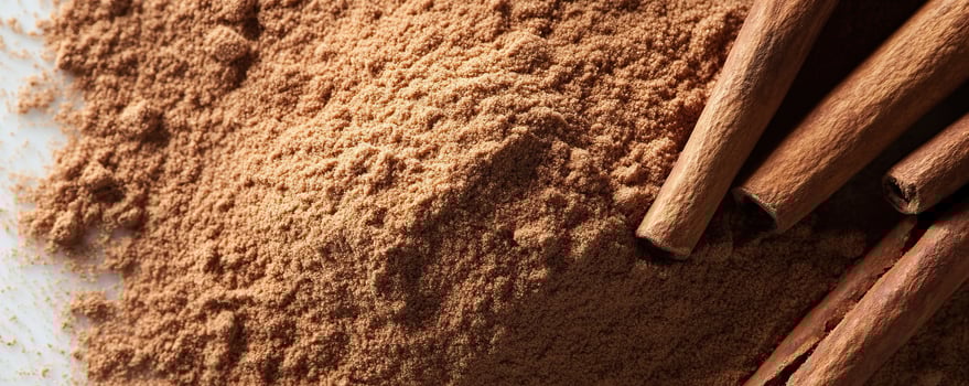 Cinnamon powder with sticks on a white isolate background. photo