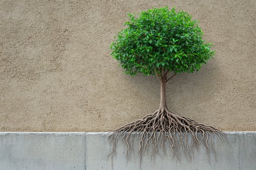 Tree with roots exposed against a textured wall, symbolizing growth and resilience. photo