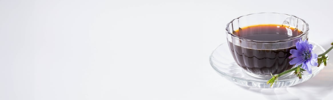 Figured glass transparent cup of chicory tea on saucer, its flower on white. Banner. Copy space. photo