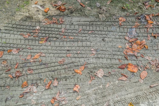 Tire track imprints in the mud photo