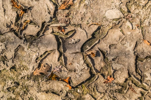 Dried mud layers curled up photo