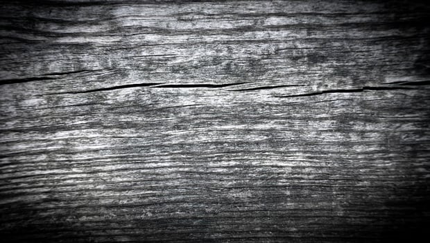 Texture of natural old wood with a cracks. Close-up. Selective focus. photo
