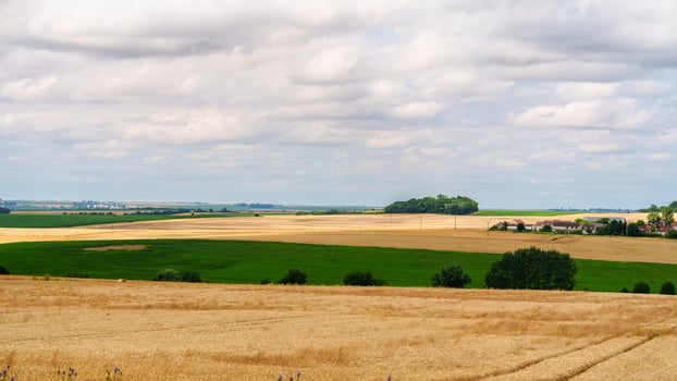 The image depicts a panoramic view of the countryside, featuring golden wheat fields in the foreground, scattered trees, and a distant blue sky with fluffy white clouds, all captured from a high angle. photo