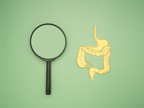 Yellow paper intestine and magnifying glass on a green background photo