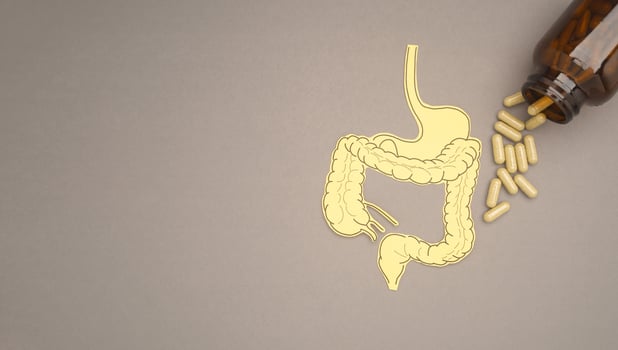 Large intestine shape made from paper and pills capsules with a bottle a gray background photo