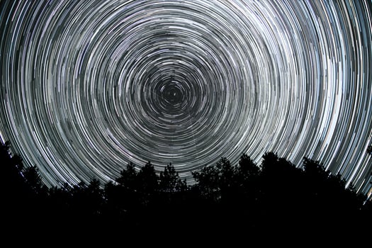 Star trails in the night sky. Stars move around a polar star. Silhouettes of trees photo