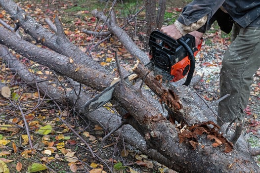 A man cutting a tree with a chainsaw. photo
