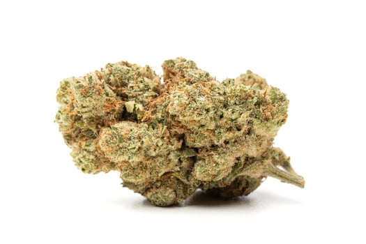 Marijuana flower isolated on white background photo