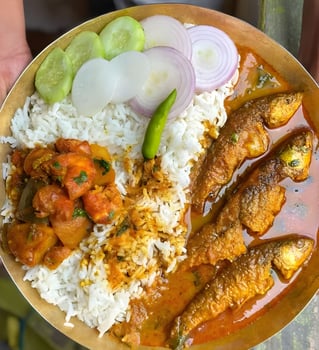 a person holding a plate with rice and fish, indian dish photo