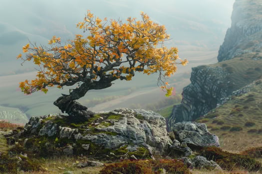 A lone tree with golden leaves growing on a rocky cliffside photo