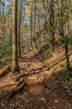 Trail going uphill in the mountains photo
