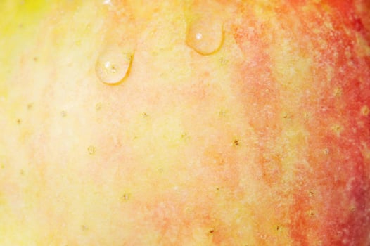 Red and yellow apple texture with two water drops. Apple as a background. photo
