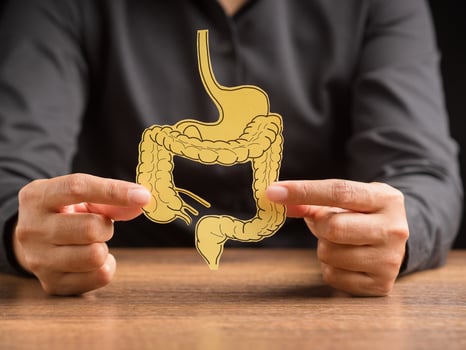 Hand holding a large intestine shape made from yellow paper photo