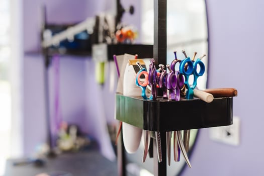 Closeup view of the grooming tools laying at the special place at dog hair salon photo